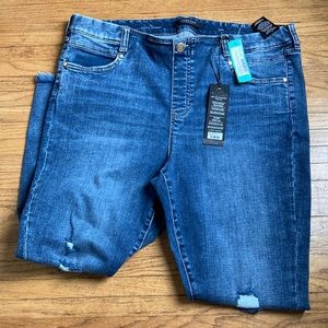 Stitch Fix Liverpool Gia Glider Fray Hem Ankle Skinny Indigo Wash 22W